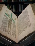 Hortus Sanitatis 1491